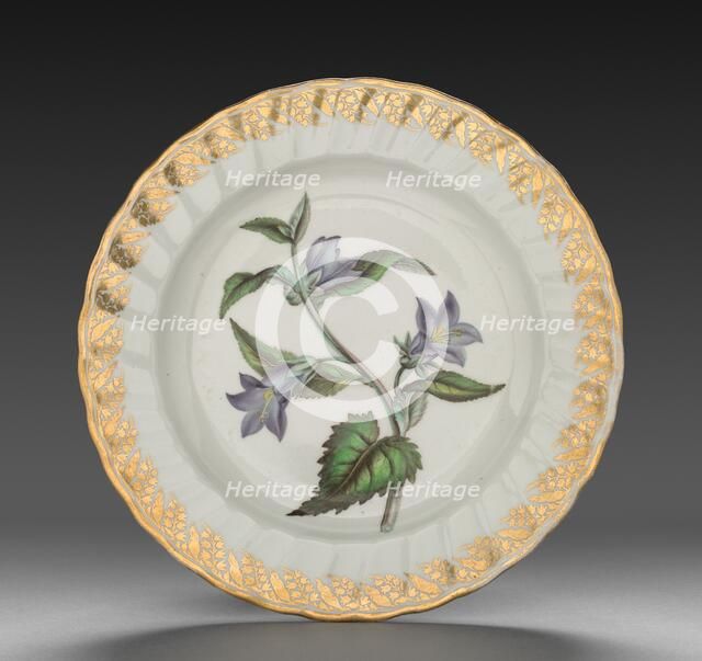 Plate from Dessert Service: Nettle Leaved Bell Flower, c. 1800. Creator: Derby (Crown Derby Period) (British).