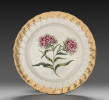 Plate from Dessert Service: Sweet William, c. 1800. Creator: Derby (Crown Derby Period) (British)