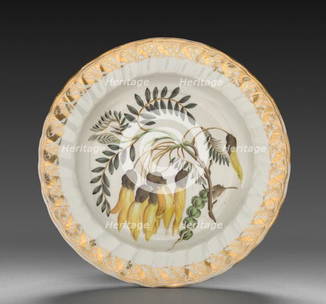 Plate from Dessert Service: Winged Podded Sophora, c. 1800. Creator: Derby (Crown Derby Period) (British).