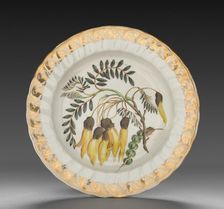 Plate from Dessert Service: Winged Podded Sophora, c. 1800. Creator: Derby (Crown Derby Period) (British)