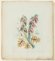 Plate, from New Suite of Notebooks of Ideal Flowers for Use by Draftsmen and Painters, c. 1795. Creator: Anne Allen