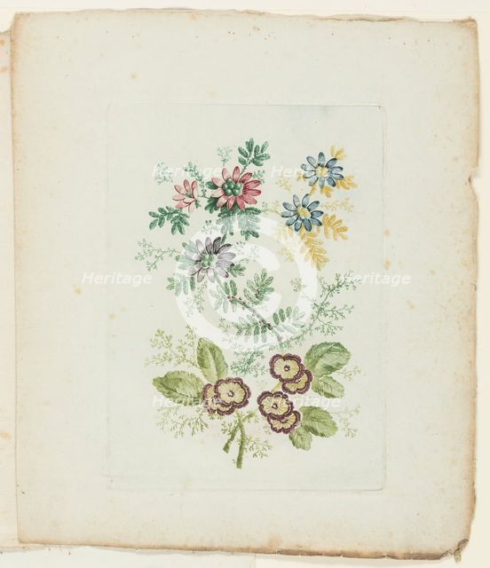 Plate, from New Suite of Notebooks of Ideal Flowers for Use by Draftsmen and Painters, c. 1795. Creator: Anne Allen.