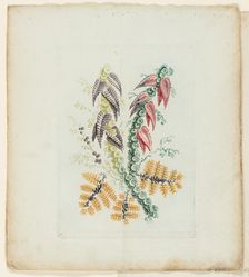 Plate, from New Suite of Notebooks of Ideal Flowers for Use by Draftsmen and Painters, c. 1795. Creator: Anne Allen