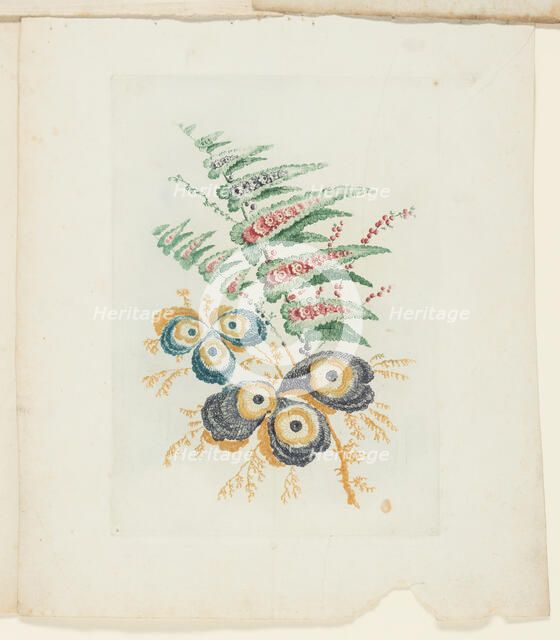 Plate, from New Suite of Notebooks of Ideal Flowers for Use by Draftsmen and Painters, c. 1795. Creator: Anne Allen.