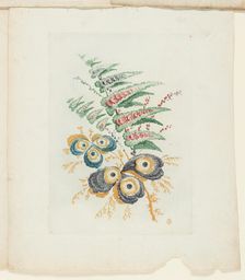 Plate, from New Suite of Notebooks of Ideal Flowers for Use by Draftsmen and Painters, c. 1795. Creator: Anne Allen