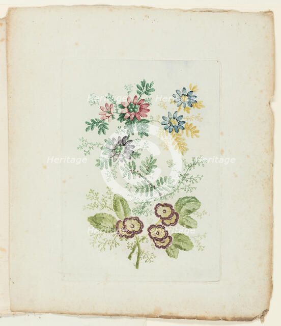 Plate, from New Suite of Notebooks of Ideal Flowers for Use by Draftsmen and Painters, c. 1795. Creator: Anne Allen.