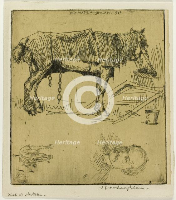 Plate of Sketches, 1902. Creator: Donald Shaw MacLaughlan.