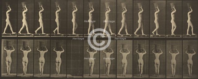 Plate Number 34. Walking and carrying a 15-lb. basket on head, hands raised, 1887. Creator: Eadweard J Muybridge.