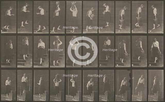 Plate Number 504. Ascending and descending stairs, 1887. Creator: Eadweard J Muybridge.