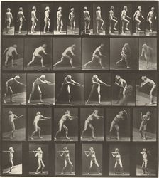 Plate Number 521. A: Walking. B: Ascending step. C. Throwing disk. D: Using shovel..., 1887. Creator: Eadweard J Muybridge