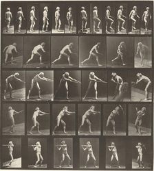 Plate Number 521. A: Walking. B: Ascending step. C. Throwing disk. D: Using shovel..., 1887. Creator: Eadweard J Muybridge