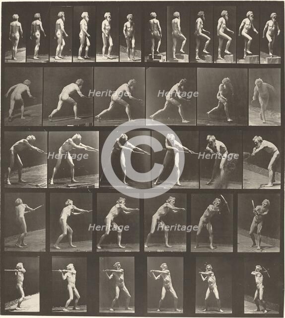 Plate Number 521. A: Walking. B: Ascending step. C. Throwing disk. D: Using shovel..., 1887. Creator: Eadweard J Muybridge.