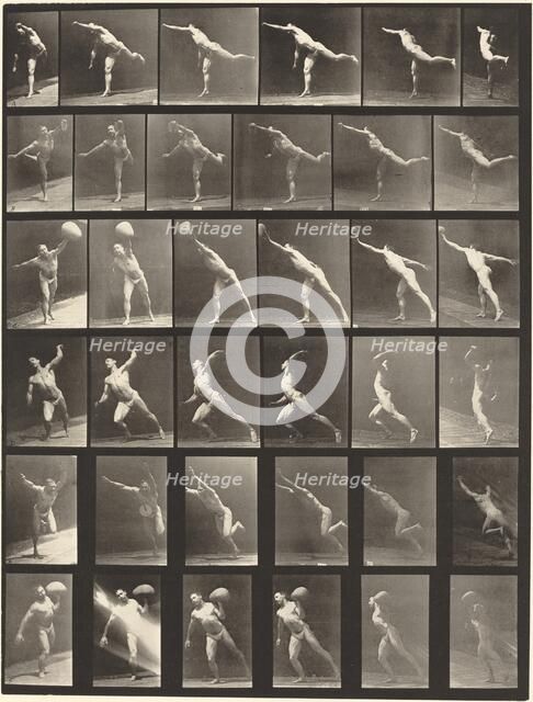 Plate Number 523. A: Striking a blow. B, E: Throwing disk. C, F: Heaving a 75-lb. Stone..., 1887. Creator: Eadweard J Muybridge.