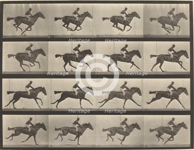 Plate Number 626. Gallop, thoroughbred bay mare, Annie G., 1887. Creator: Eadweard J Muybridge.