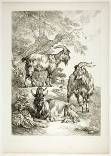 Plate Seventeen of 38 from Oeuvres de J. B. Huet, 1796–99. Creator: Jean Baptiste Marie Huet