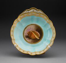 Plate, Worcester, 1813/19. Creator: Royal Worcester