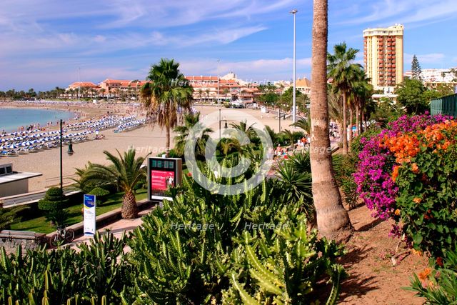 Playa de las Vistas, Los Cristianos, Tenerife, Canary Islands, 2007.
