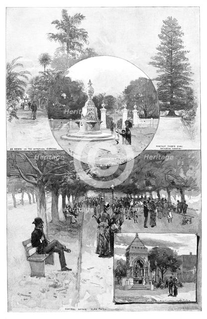 Pleasure gardens, Sydney, New South Wales, Australia, 1886.Artist: WJ Smedley