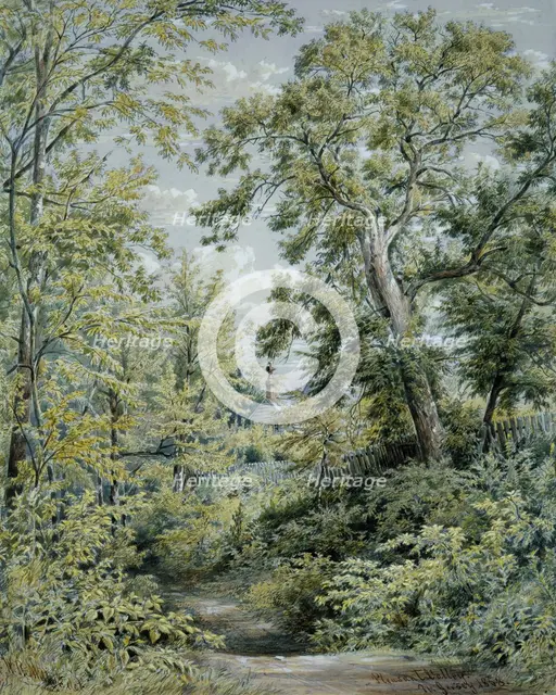 Pleasant Valley, New Jersey, 1858. Creator: William Rickarby Miller.