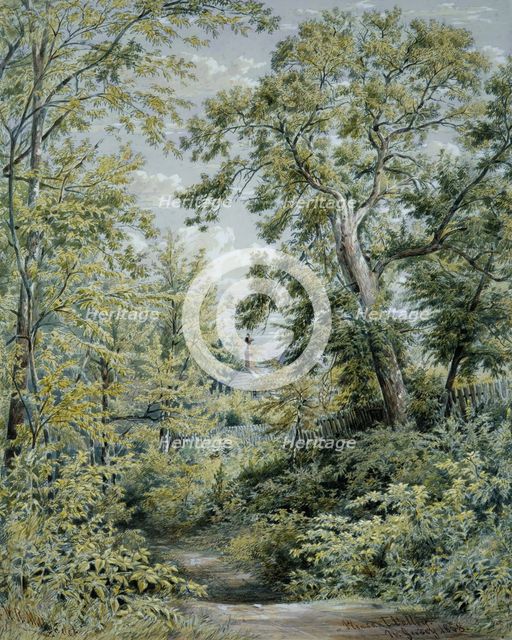 Pleasant Valley, New Jersey, 1858. Creator: William Rickarby Miller.