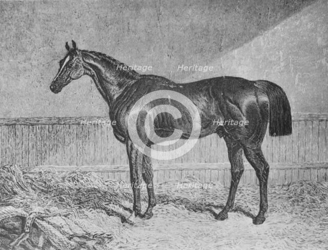 'Plenipotentiary', 1831-1854, (1911). Artist: Unknown.