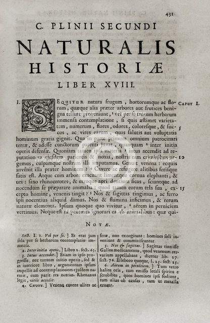 Pliny the Elder (Gaius Plinius Secundus) (c 23-79), Roman politician, historian and naturalist, 1686 Creator: Pliny the Elder.