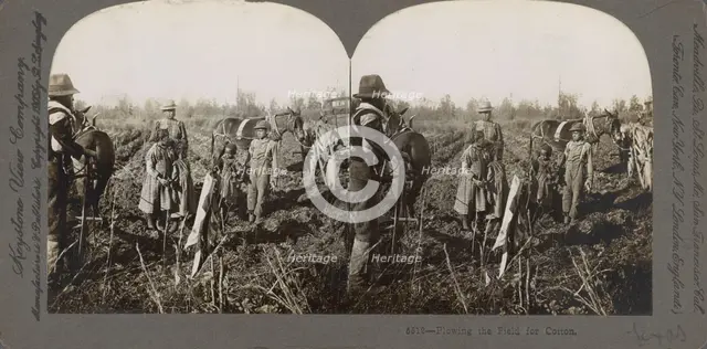 Plowing the field for cotton, (1868-1900?). Creator: Unknown.