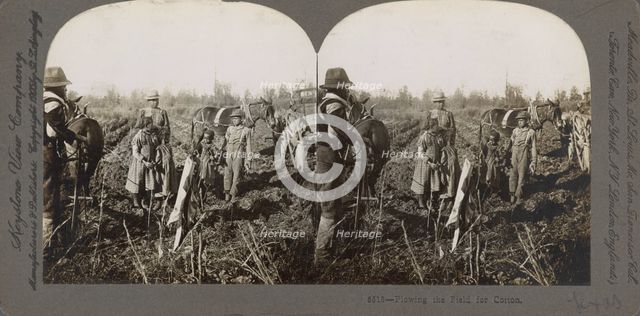 Plowing the field for cotton, (1868-1900?). Creator: Unknown.