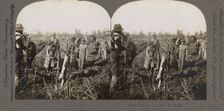 Plowing the field for cotton, (1868-1900?). Creator: Unknown