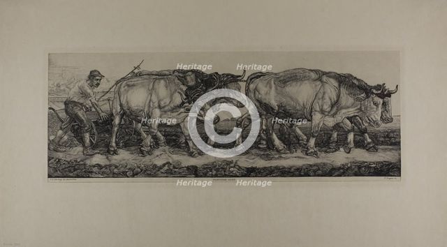 Plowing Oxen, n.d. Creator: Pieter Dupont.