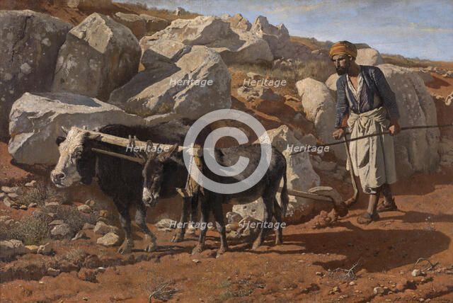 Plough Ox and Mule with Fellah, 1876. Creator: Charles Verlat.