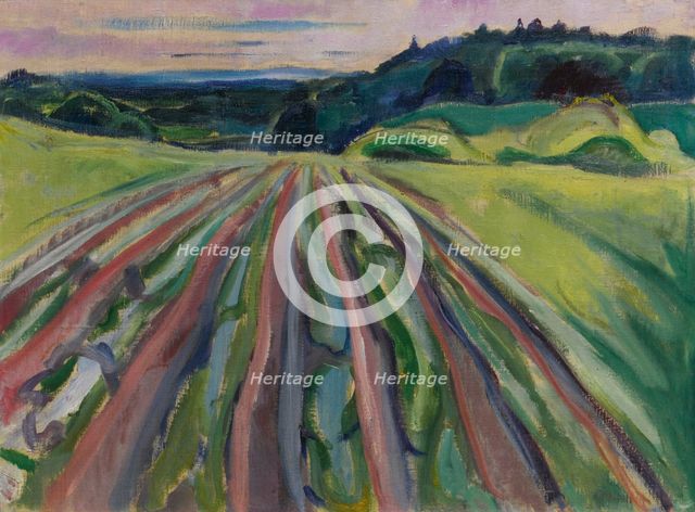 Ploughed field, 1916.