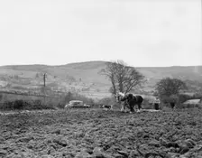 Ploughing near Pentre Felin, Wales, c1955. Creator: Arthur Charles Kirby Ware