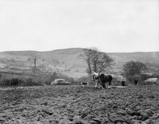 Ploughing near Pentre Felin, Wales, c1955. Creator: Arthur Charles Kirby Ware