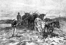 Ploughing on the Sussex Downs, 1881. Creator: William Michael Roberts Quick