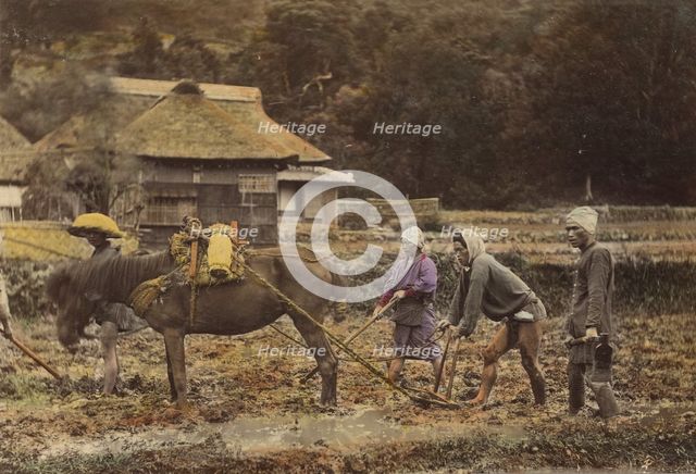 Ploughing, about 1873-1883. Creator: Shinichi Suzuki I.