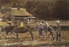 Ploughing, about 1873-1883. Creator: Shinichi Suzuki I