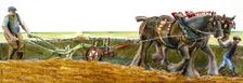 Ploughing, c1830-1900, (c1990-2010). Artist: Judith Dobie