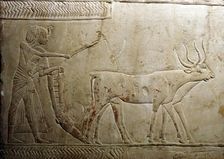 Ploughing from an Egyptian Stele, 18th Dynasty, 1332BC-1323 BC