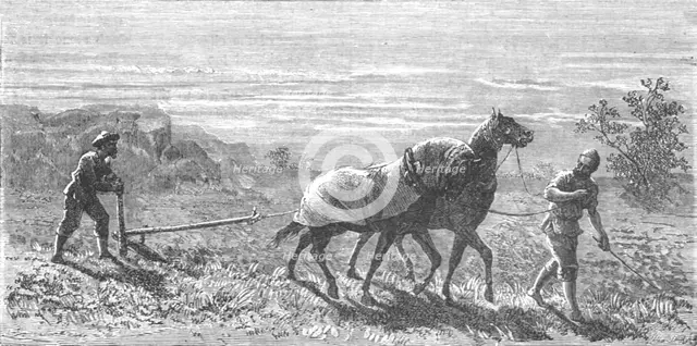 ''Ploughing in Turkestan; Notes on Western Turkistan', 1875. Creator: Unknown.
