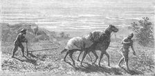 'Ploughing in Turkestan; Notes on Western Turkistan 1875. Creator: Unknown