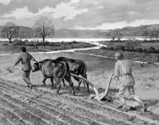 Ploughing in the Bronze Age. Creator: Unknown