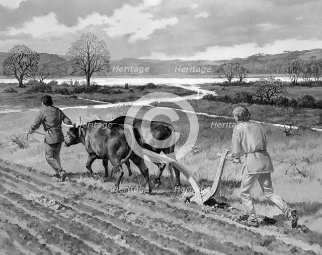 Ploughing in the Bronze Age.  Creator: Unknown.