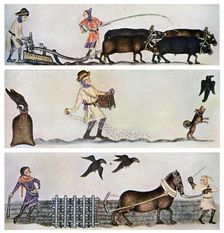 Ploughing, sowing, and harrowing, c1300-1340, (c1900-1920)