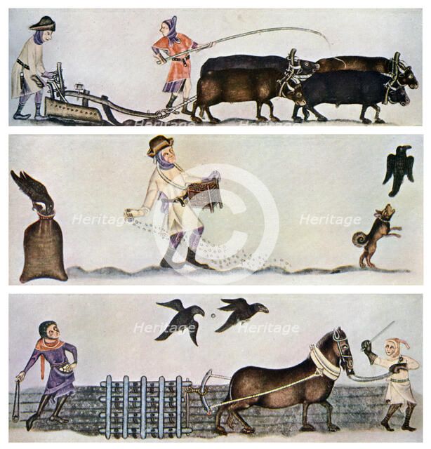 Ploughing, sowing, and harrowing, c1300-1340, (c1900-1920). Artist: Unknown