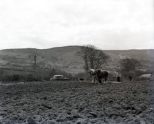 Ploughing, Wales, c1955. Creator: Arthur Charles Kirby Ware