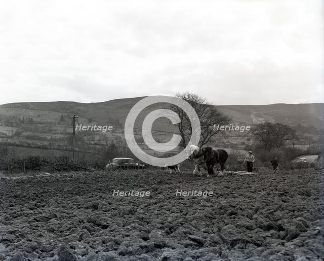Ploughing, Wales, c1955. Creator: Arthur Charles Kirby Ware.