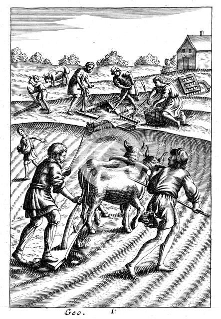 Ploughing with oxen, sowing seed broadcast and harrowing, 18th century. Artist: Unknown