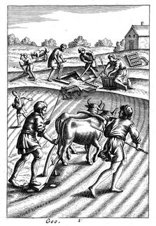 Ploughing with oxen, sowing seed broadcast and harrowing, 18th century