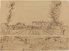 Ploughman in the Fields near Arles, 1888. Creator: Vincent van Gogh